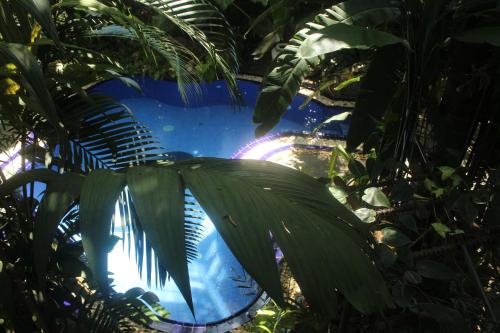 a blue vase in the middle of a forest of trees at Villa Olde Ceylon in Kandy