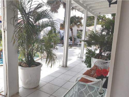 eine Veranda mit Palmen und einer Bank auf einer Terrasse in der Unterkunft Palmita Hostel Chez Harmony in Oranjestad