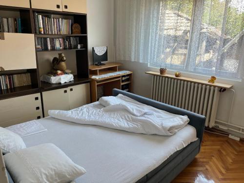 1 dormitorio con cama y estante para libros en Kobran, en Kuršumlija