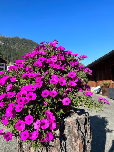 Φωτογραφία από το άλμπουμ του La Baita σε Bionaz