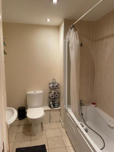 a bathroom with a toilet and a shower and a sink at Two bed fully furnished apt in Dublin