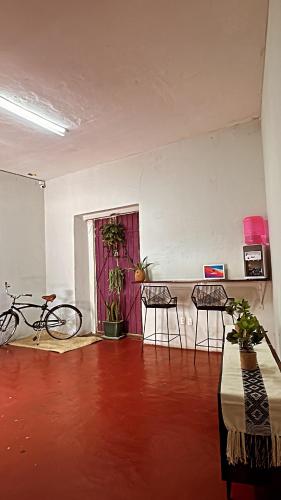 um quarto com duas cadeiras e uma mesa e algumas plantas em Hostel Xitla em Oaxaca de Juárez