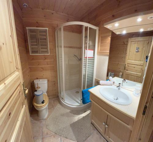 a bathroom with a shower and a sink and a toilet at Chalet bois au coeur des Pyrénées ariégeoises in LʼHospitalet-près-lʼAndorre