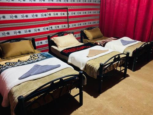 three beds in a room with a red wall at Wolf Trail Adventure in Wadi Rum