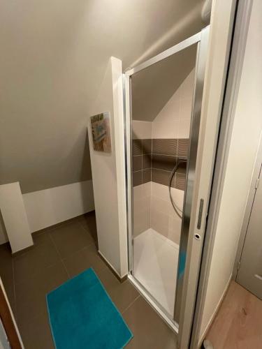 a shower in a bathroom with a blue rug at Petite maison 2 chambres in Tréauville