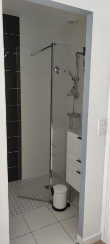 une salle de bain avec douche et toilettes dans l'établissement Au Bord du Golfe du Morbihan, à Arradon