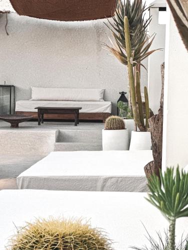 a room with two beds and potted plants at Riad Atay in Marrakech