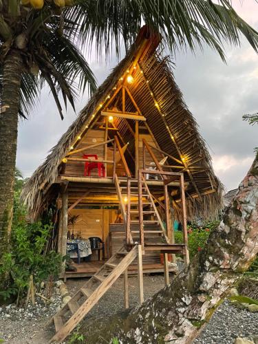 a thatch roofed hut with stairs and a palm tree at Chowa lodge in Nuquí