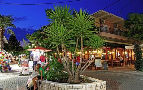 a palm tree in a planter in front of a building at Maya Suites Kallithea in Kallithea Halkidikis