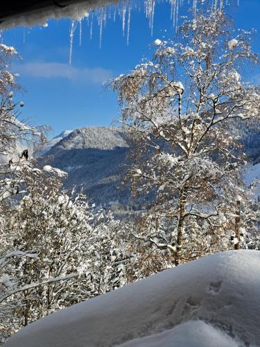 a winter scene with icicles hanging from a tree at Naturetouch in Steinberg am Rofan