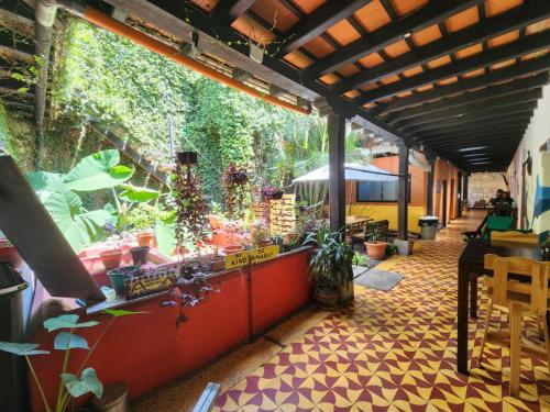 a patio with a counter with plants and an umbrella at Amura Hostal in Antigua Guatemala