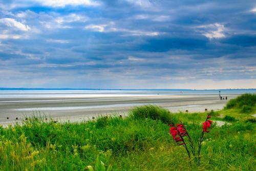 a beach with red flowers and people on the beach at Pass the Keys Peaceful And Beautiful Barn In Downland Village in Chichester