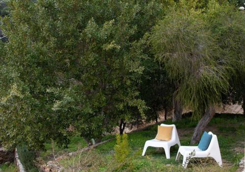 twee stoelen in het gras naast een boom bij Vill'e Tina in Torre delle Stelle