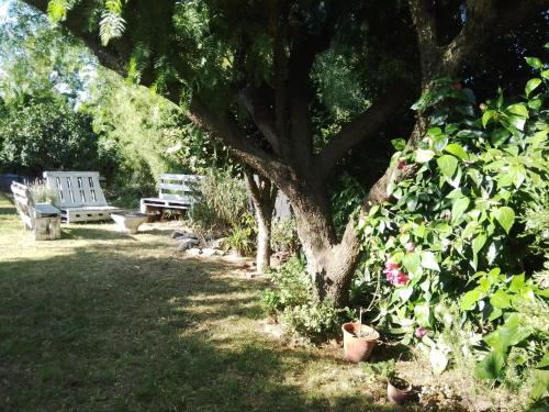a park with two benches and a tree at "Mi pequeño refugio" - Apartamento Colonia del Sacramento in Colonia del Sacramento