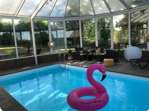 une piscine avec un cygne rose dans l'eau dans l'établissement Maison avec piscine au cœur de la suisse normande, à Aubusson