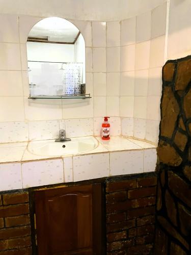 a bathroom with a sink and a mirror at Home Feeling Neneu Lodge in Moshi