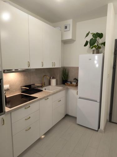 Η κουζίνα ή μικρή κουζίνα στο Apartament Wierzyca Pelplin