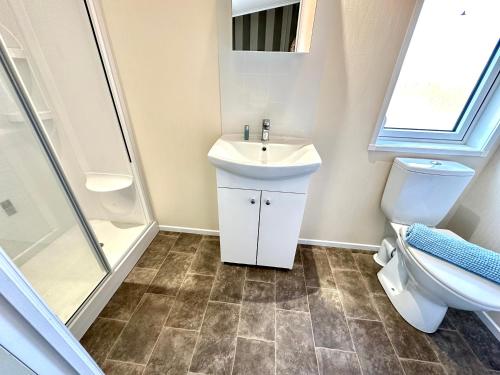 a bathroom with a sink and a shower and a toilet at Bluebell Lodge, Dog Friendly in South Cerney