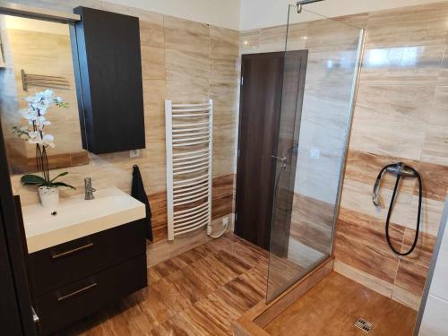 a bathroom with a sink and a shower at Apartmán Dominika in Rovinka