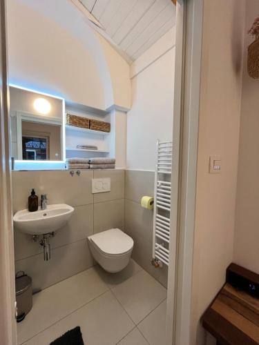 ein Bad mit einem WC und einem Waschbecken in der Unterkunft Studio Apartment Jož' 