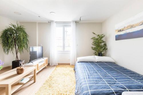 - une chambre avec un lit, une télévision et des plantes dans l'établissement El Toison 21 Parking Gratis-6 Pax Centro-Historico, à Bilbao