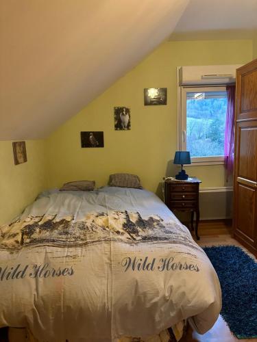 une chambre avec un lit et une fenêtre dans l'établissement Retour aux sources, à Ventron