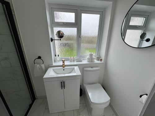 a bathroom with a toilet and a sink and a mirror at Lux 1 Bed Flat - Free Parking in Oxford
