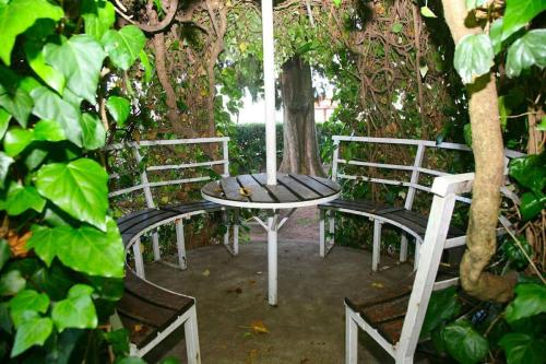 a table and chairs sitting under a tree at Sea Star Danica apartments in Tivat
