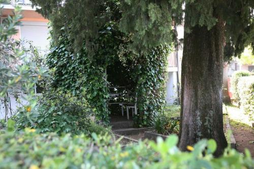 a bench covered in ivy next to a tree at Sea Star Danica apartments in Tivat