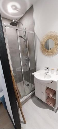 uma casa de banho com um chuveiro, um lavatório e um espelho. em Studio indépendant em Laval