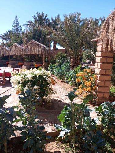 a garden with flowers and a brick wall at Kasbah Baha Baha in Nkob