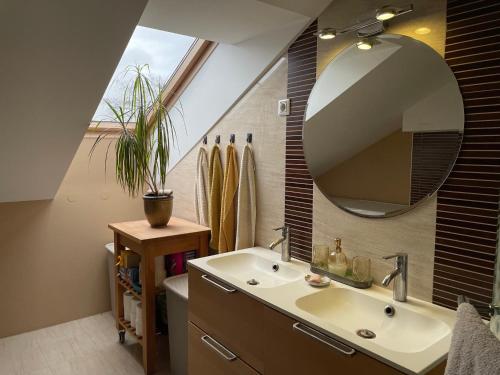 een badkamer met een wastafel en een spiegel bij Natasha's Blue Sky with Cosy Terrace in Ljubljana