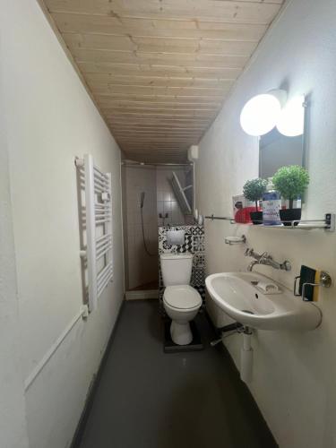 uma casa de banho com um WC e um lavatório em La Vie est Belle em Porrentruy