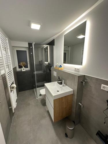 een badkamer met een wastafel, een toilet en een spiegel bij Neckarsulm ruhige Wohnung am Feldrand in Neckarsulm