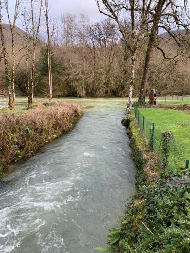 a stream of water in a field with trees at Chalet gite l'Arcange 3 chambres au calme Franche Comte bord de riviere peche sur place in Nans-sous-Sainte-Anne