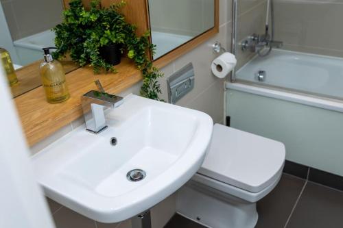 a bathroom with a sink and a toilet and a mirror at Luxury 2 bed- 2 bath Riverside Haven in London