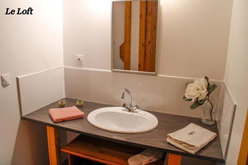 een badkamerbar met een wastafel en een spiegel bij Manade de la clapiere-Mas du Plan in Le Cailar