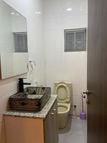 a bathroom with a toilet and a sink and a mirror at LTD GRAND APARTMENTS in Wupa