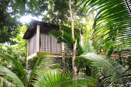 a building with palm trees in front of it at REFUGIO DO SAGRADO MORERE in Moreré