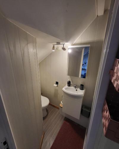 une petite salle de bain avec toilettes et lavabo dans l'établissement La panthère rose, à Honfleur