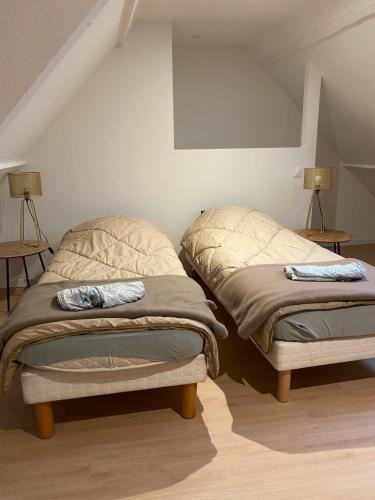 a bedroom with two beds in a attic at Family cottage 4 chambres in Bourbourg
