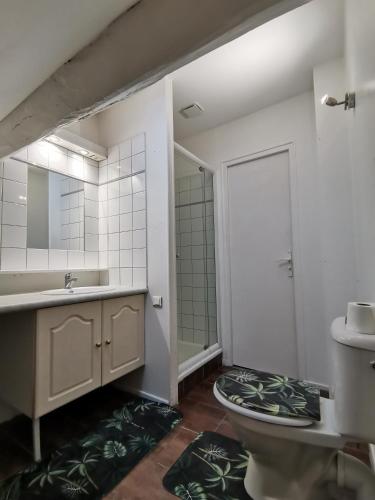 une salle de bain avec toilettes, lavabo et miroir dans l'établissement Green Horizon Château Thierry, à Château-Thierry