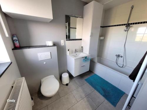 Kúpeľňa v ubytovaní charmante maison 2 chambres, entièrement rénovée