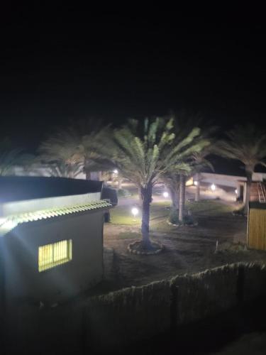 a building with palm trees in the background at night at Garden12 Outdoor & More in Douz