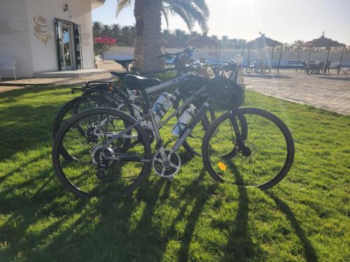 two bikes parked in the grass near a building at Garden12 Outdoor & More in Douz
