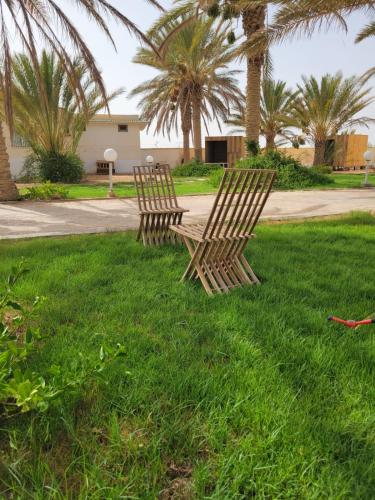 two wooden chairs sitting in the grass in a park at Garden12 Outdoor & More in Douz