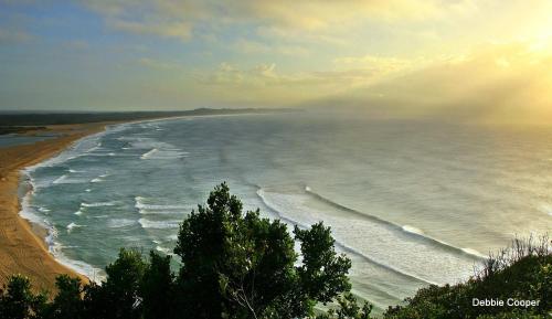 a view of a beach with trees and the ocean at Leopard Corner Lodge in St Lucia