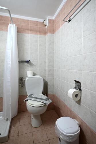 a bathroom with a toilet and a sink and a tub at VILLA CARIATIS in Nea Kalikratia