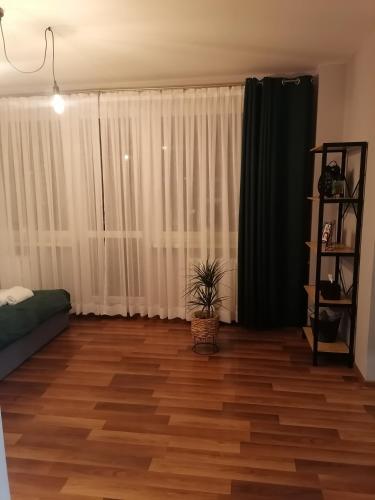 a living room with wooden floors and white curtains at Apartament Gagarina 31 in Zabrze