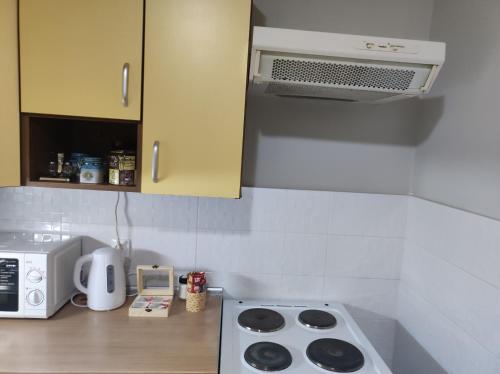 a kitchen with a stove top oven and a microwave at Apartman - GOLEMI MOST in Pirot
